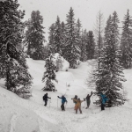 feine powdertaxi-cru im backcountry